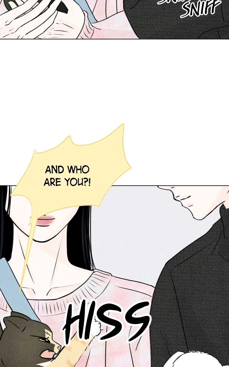 Want to See My Cat? Chapter 6 page 79
