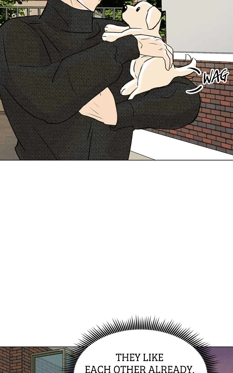 Want to See My Cat? Chapter 6 page 63