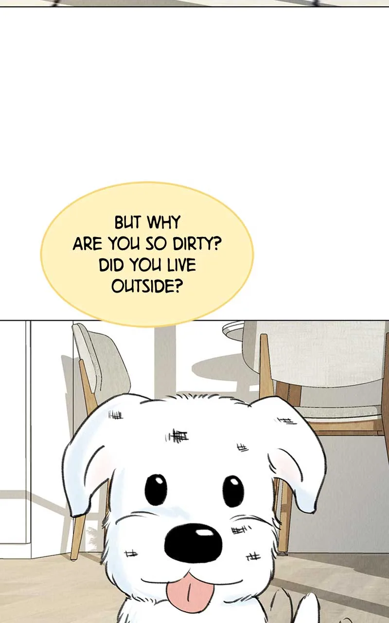 Want to See My Cat? Chapter 6 page 84