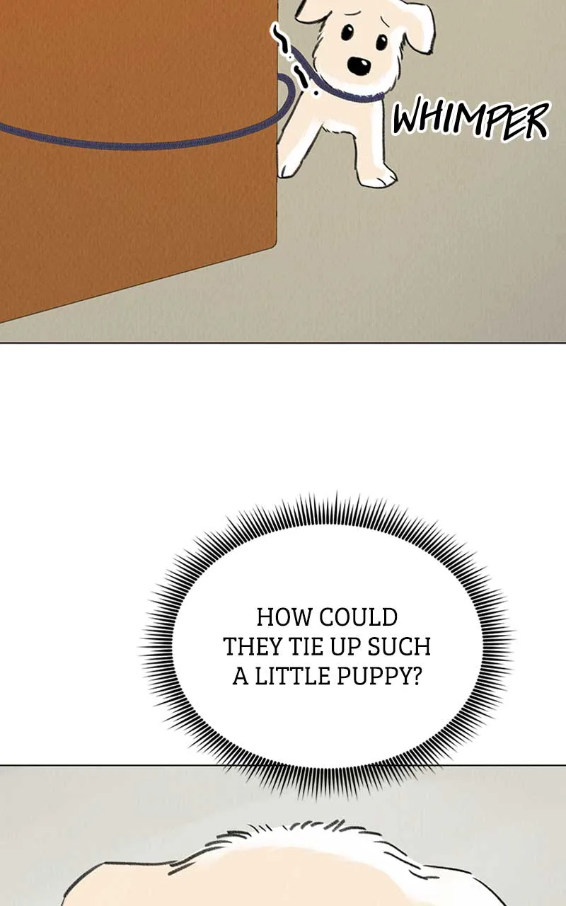 Want to See My Cat? Chapter 6 page 33