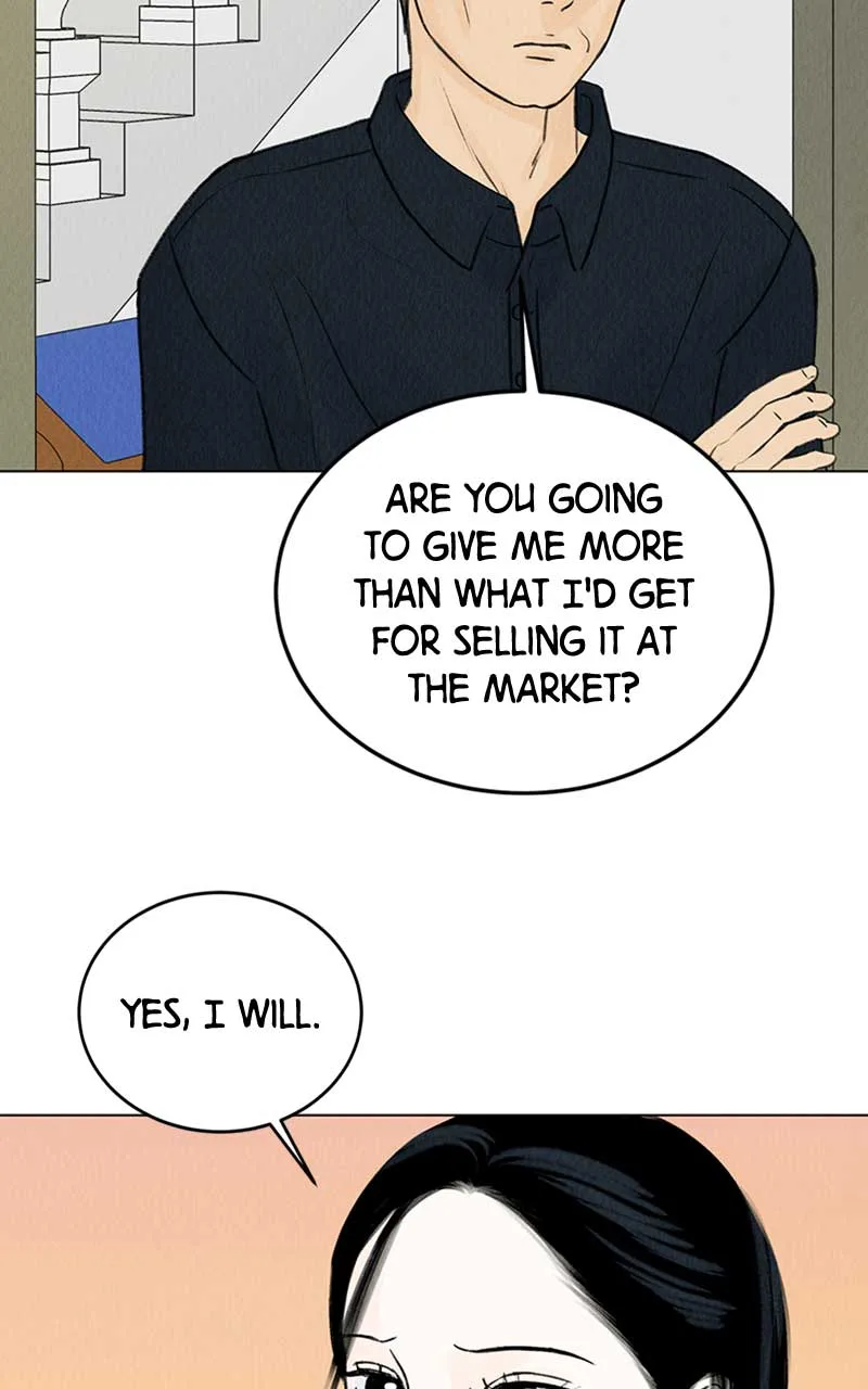 Want to See My Cat? Chapter 6 page 39