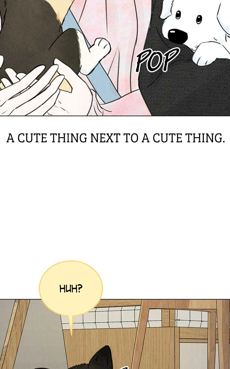 Want to See My Cat? Chapter 6 page 80