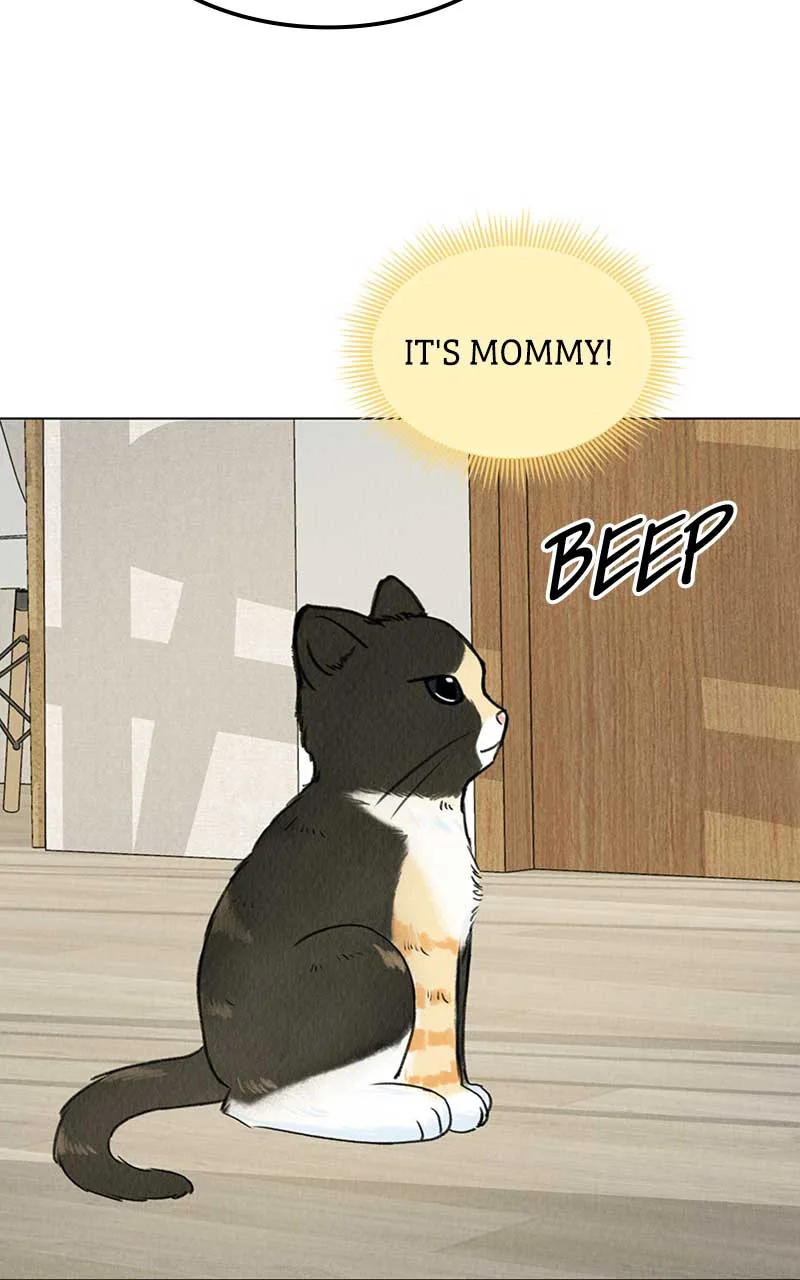 Want to See My Cat? Chapter 6 page 73