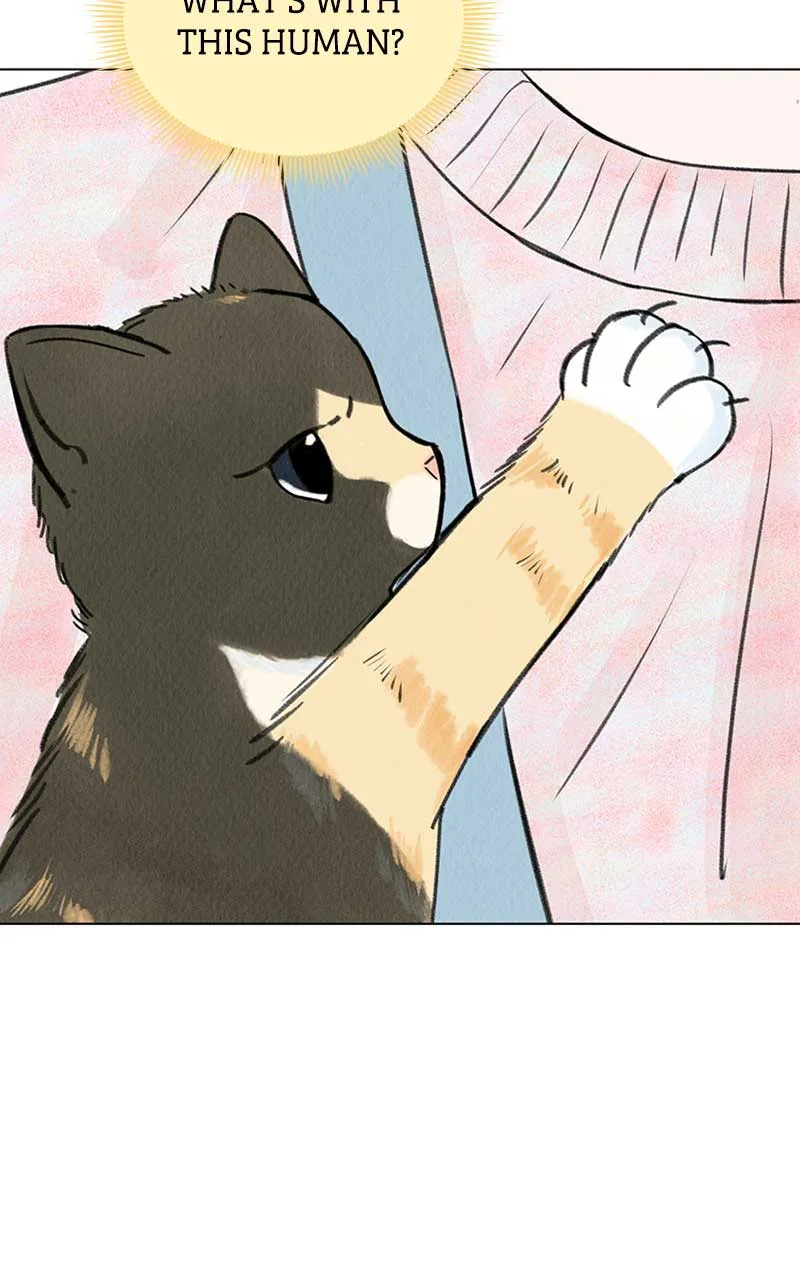 Want to See My Cat? Chapter 6 page 77