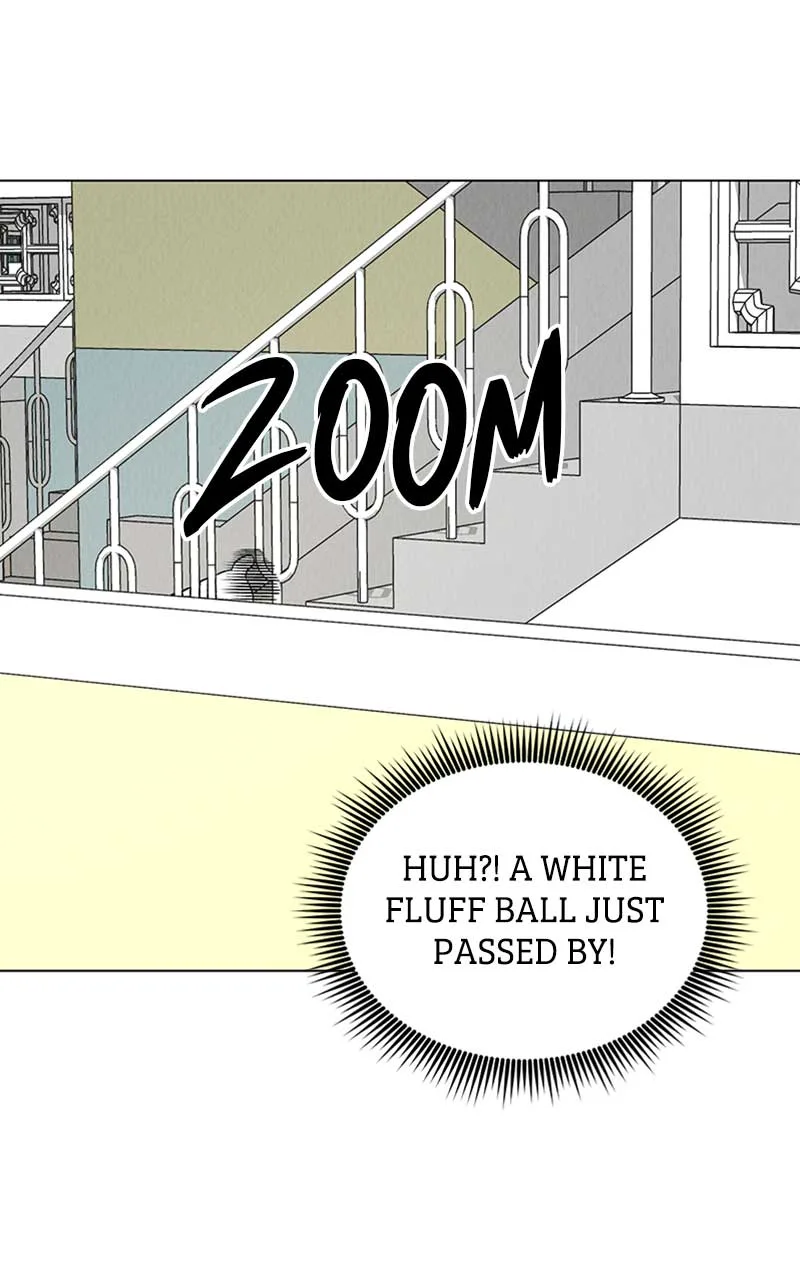 Want to See My Cat? Chapter 6 page 20