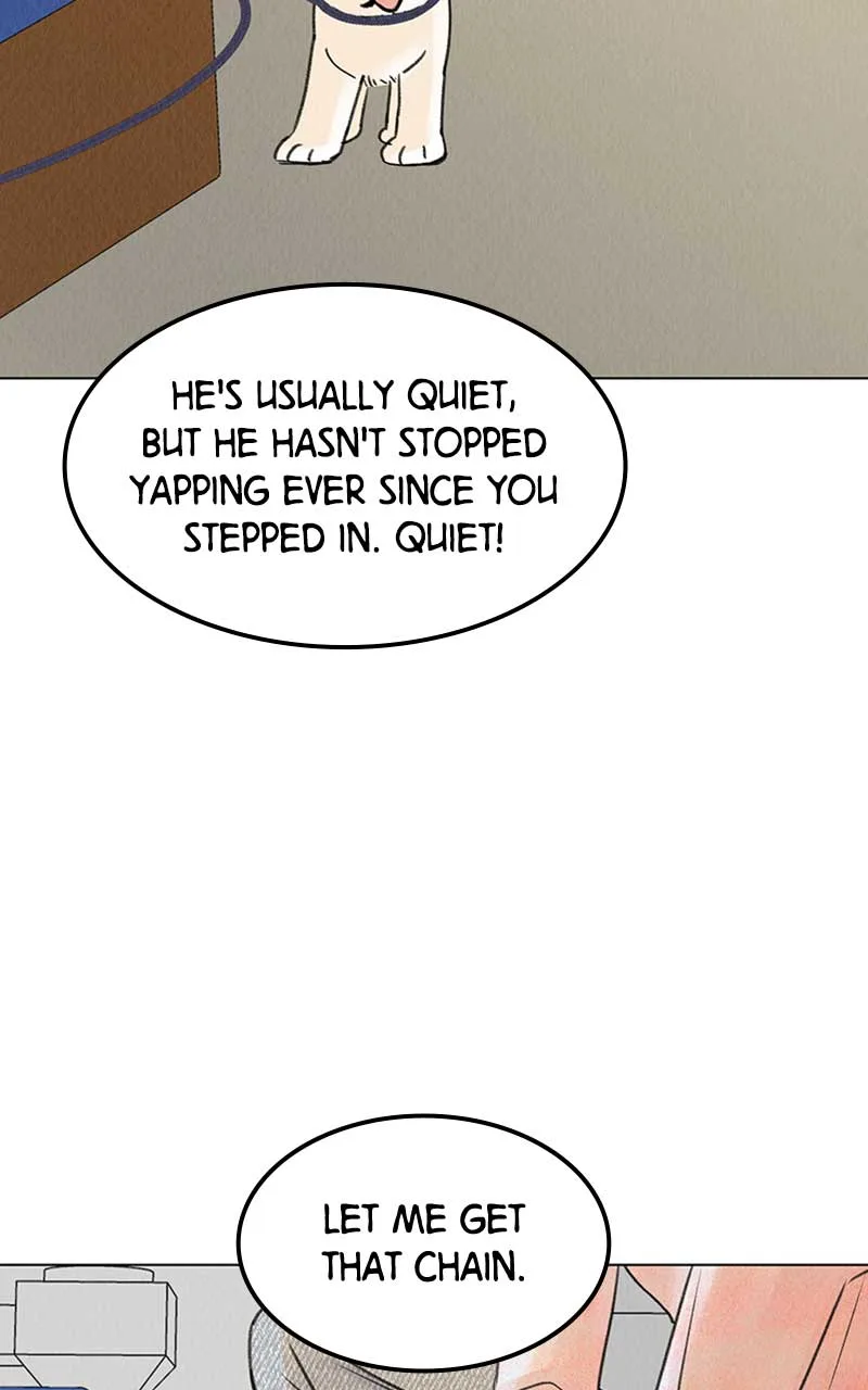 Want to See My Cat? Chapter 6 page 44