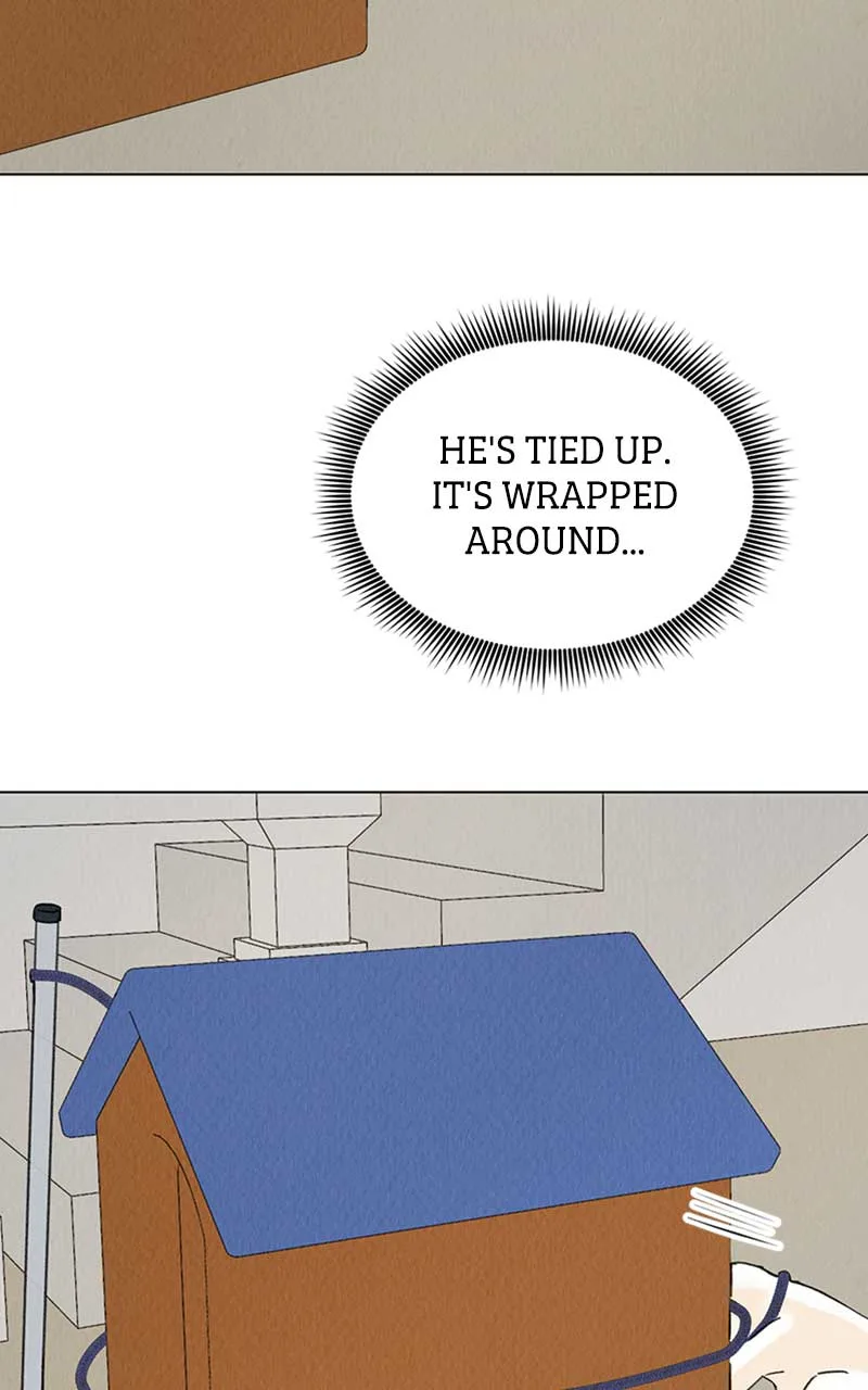 Want to See My Cat? Chapter 6 page 30