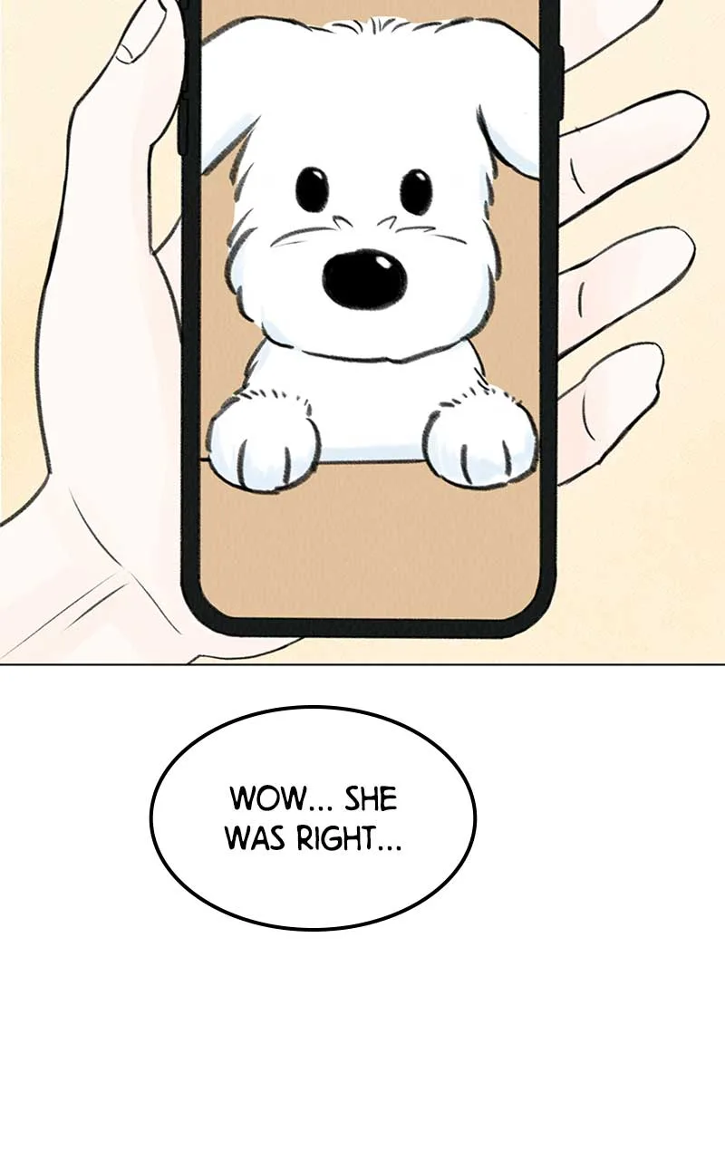 Want to See My Cat? Chapter 5 page 93
