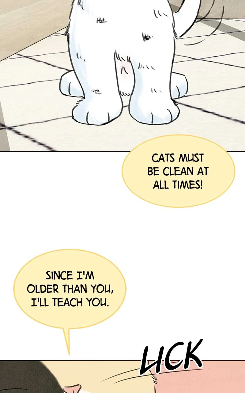 Want to See My Cat? Chapter 6 page 85