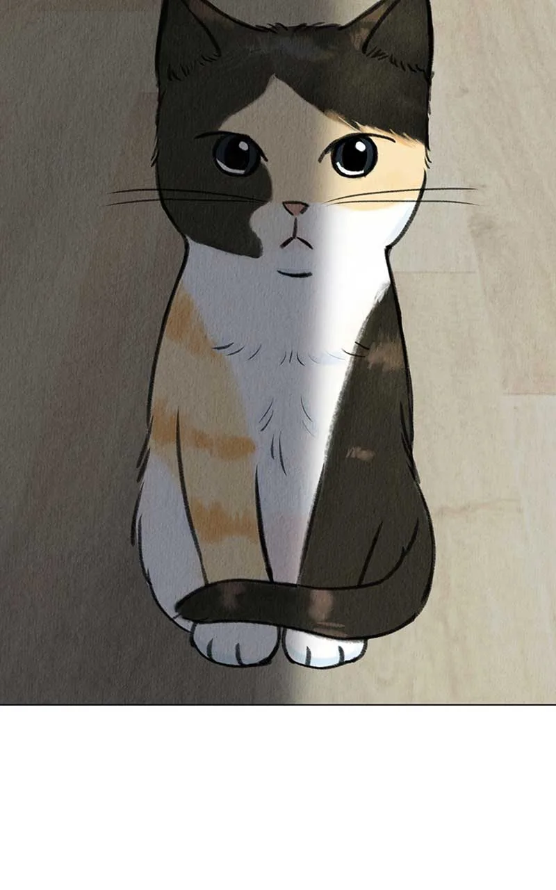 Want to See My Cat? Chapter 4 page 15