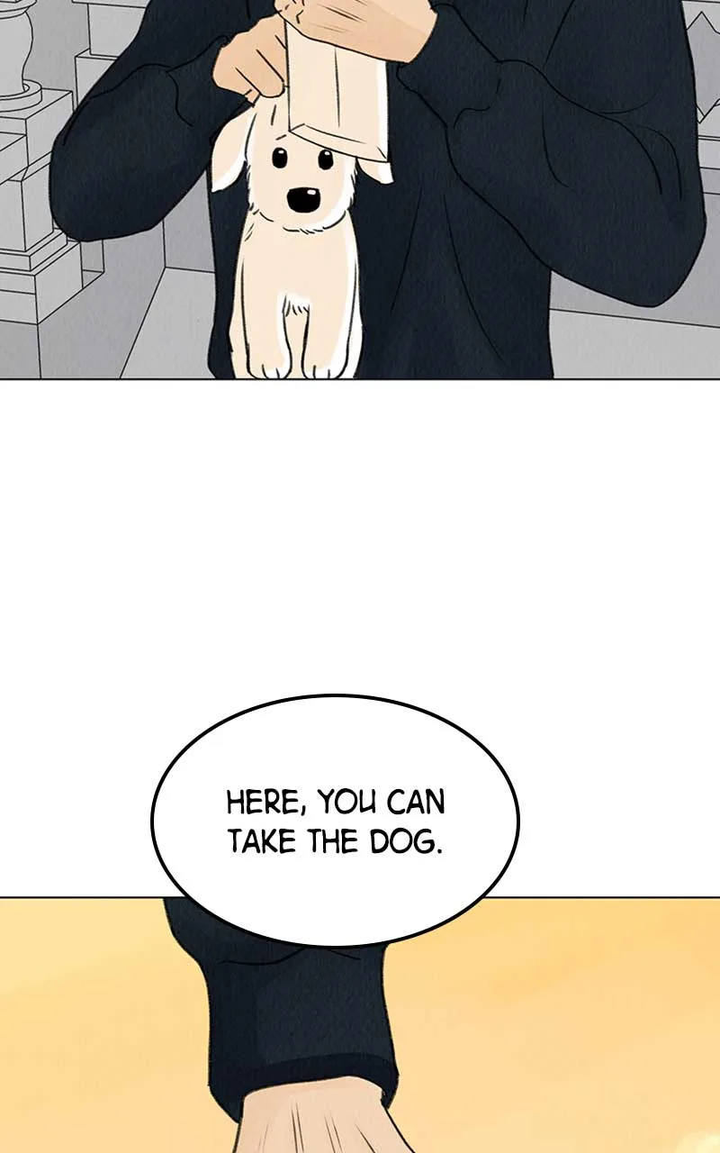 Want to See My Cat? Chapter 6 page 54