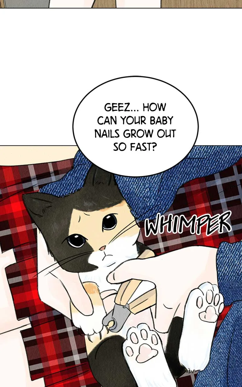 Want to See My Cat? Chapter 4 page 12