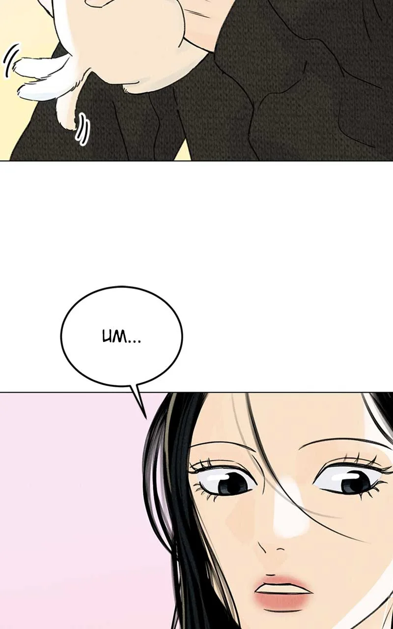 Want to See My Cat? Chapter 6 page 66