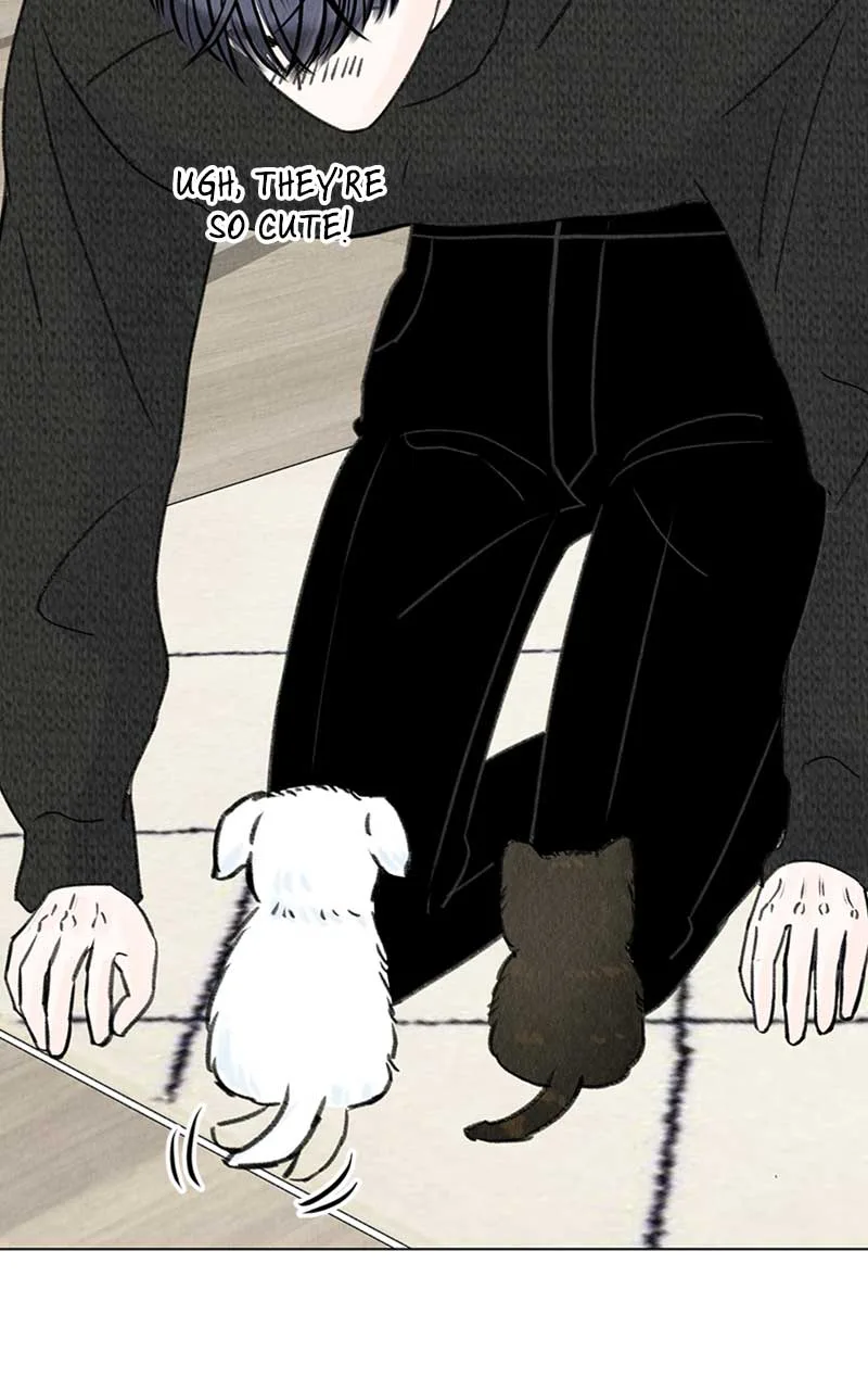 Want to See My Cat? Chapter 6 page 90