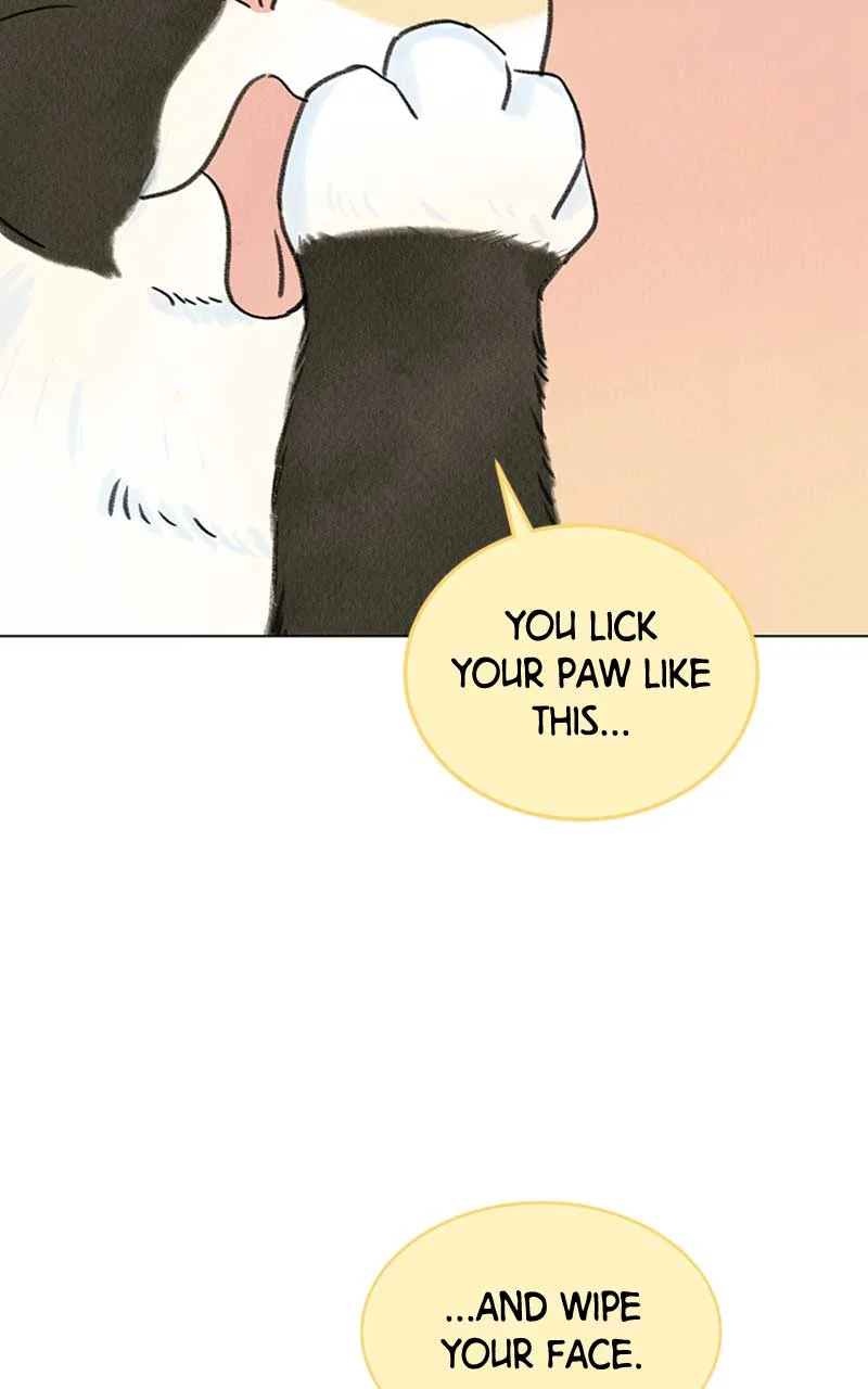 Want to See My Cat? Chapter 6 page 86