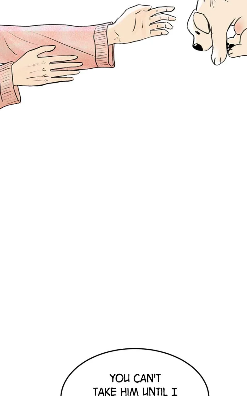 Want to See My Cat? Chapter 6 page 49