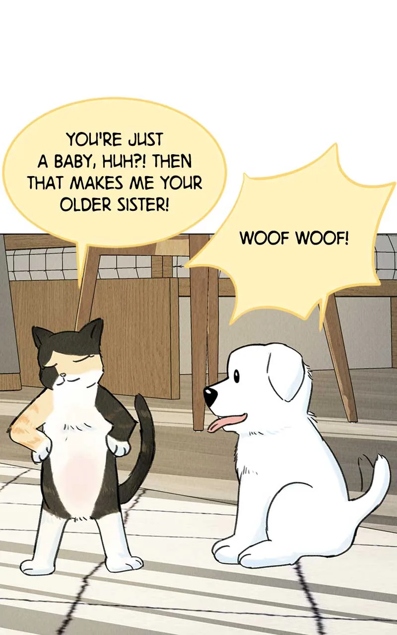 Want to See My Cat? Chapter 6 page 83