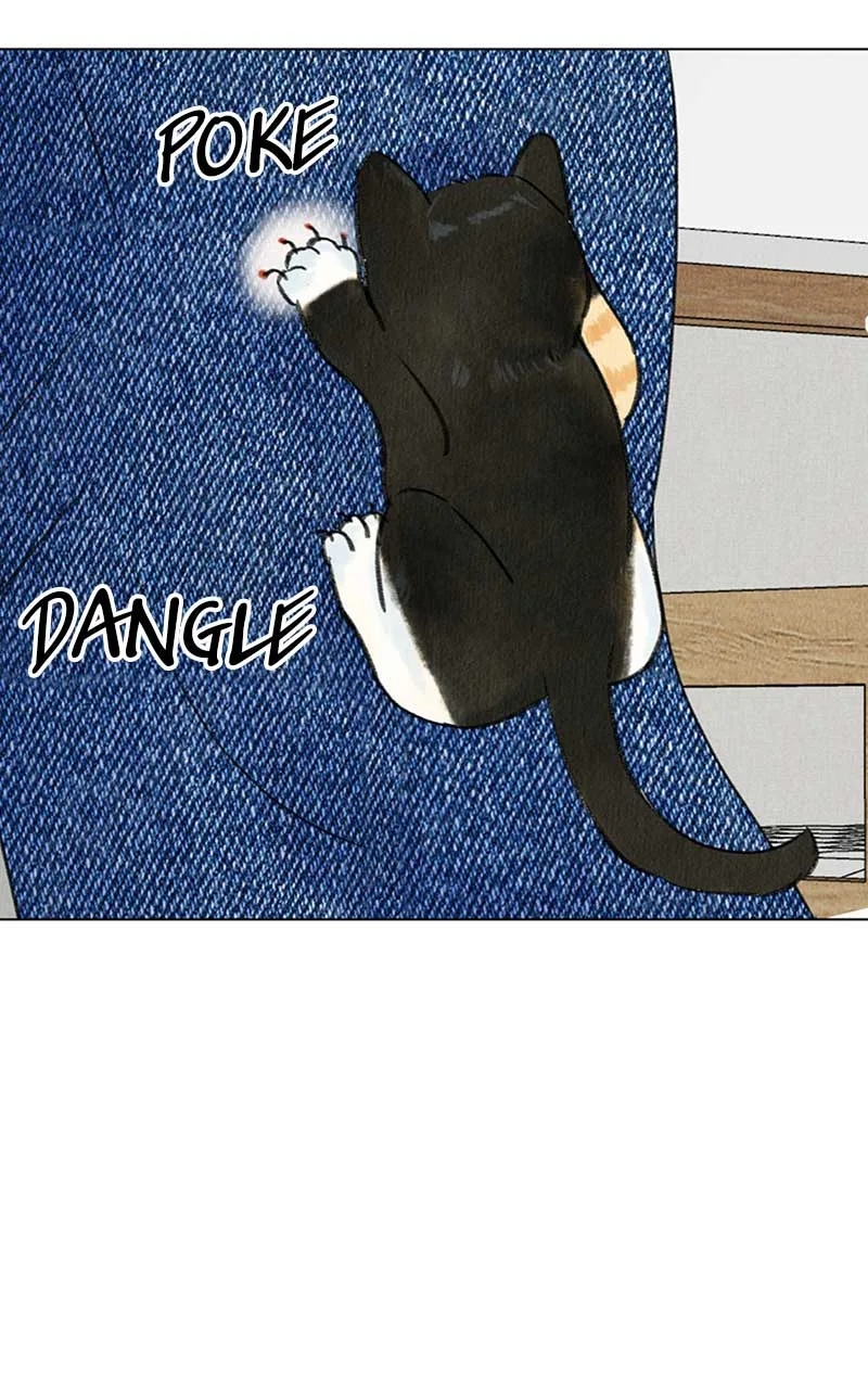 Want to See My Cat? Chapter 4 page 9