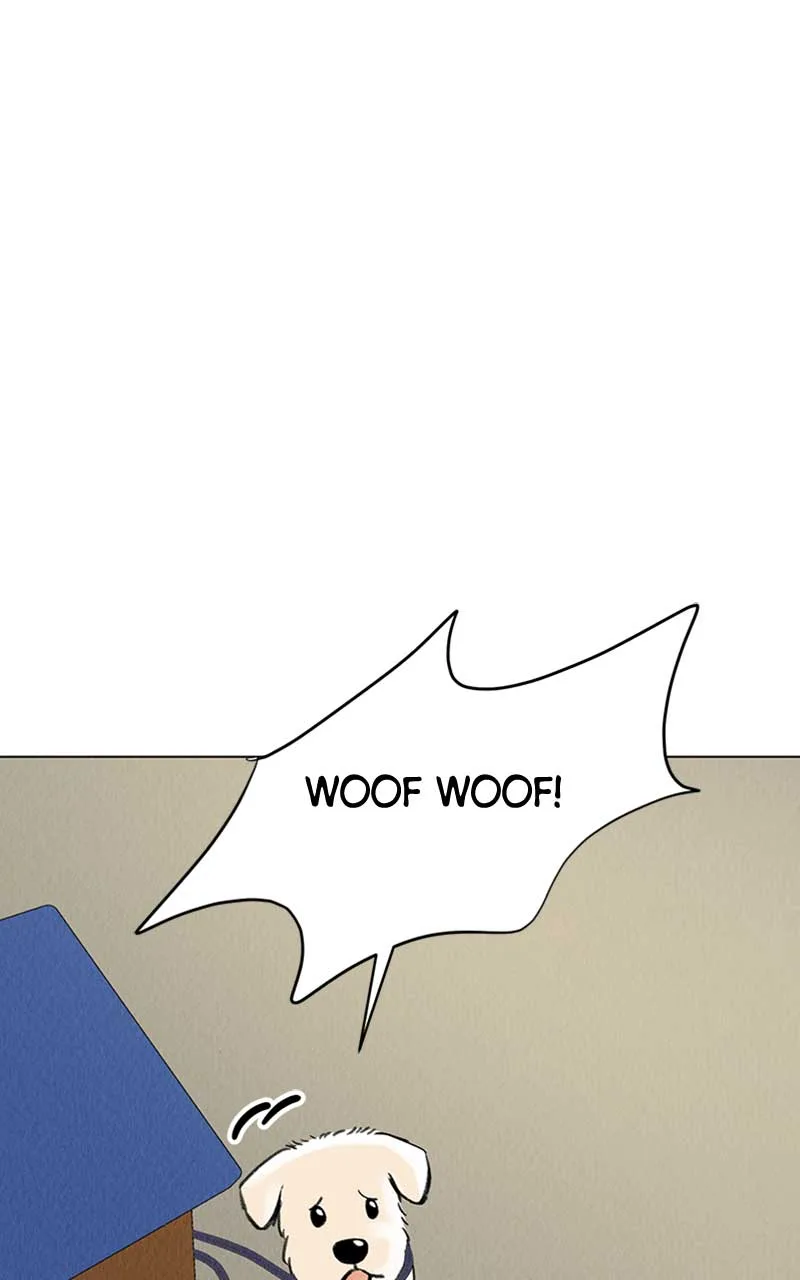 Want to See My Cat? Chapter 6 page 43