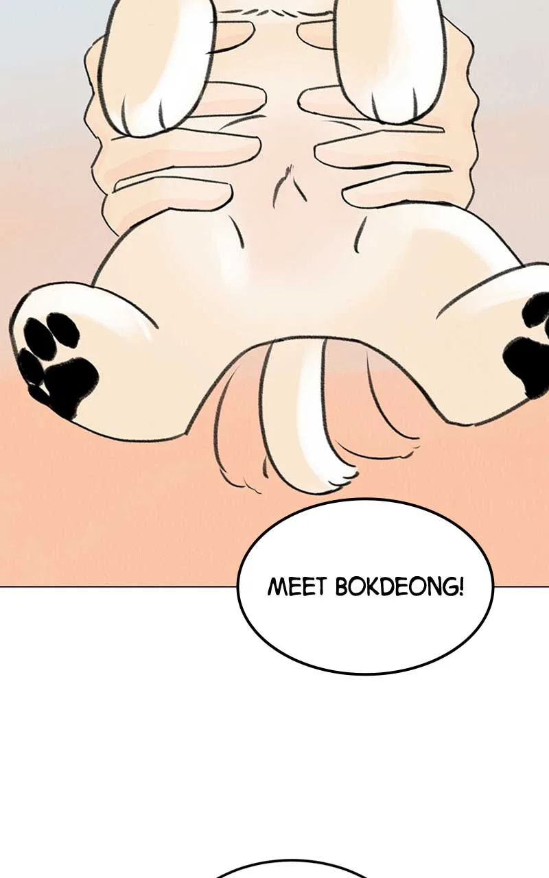 Want to See My Cat? Chapter 6 page 60