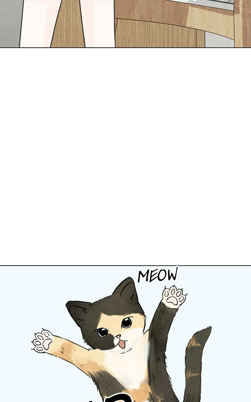 Want to See My Cat? Chapter 4 page 6
