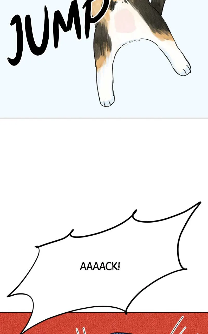 Want to See My Cat? Chapter 4 page 7