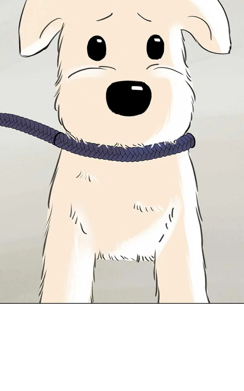 Want to See My Cat? Chapter 6 page 34