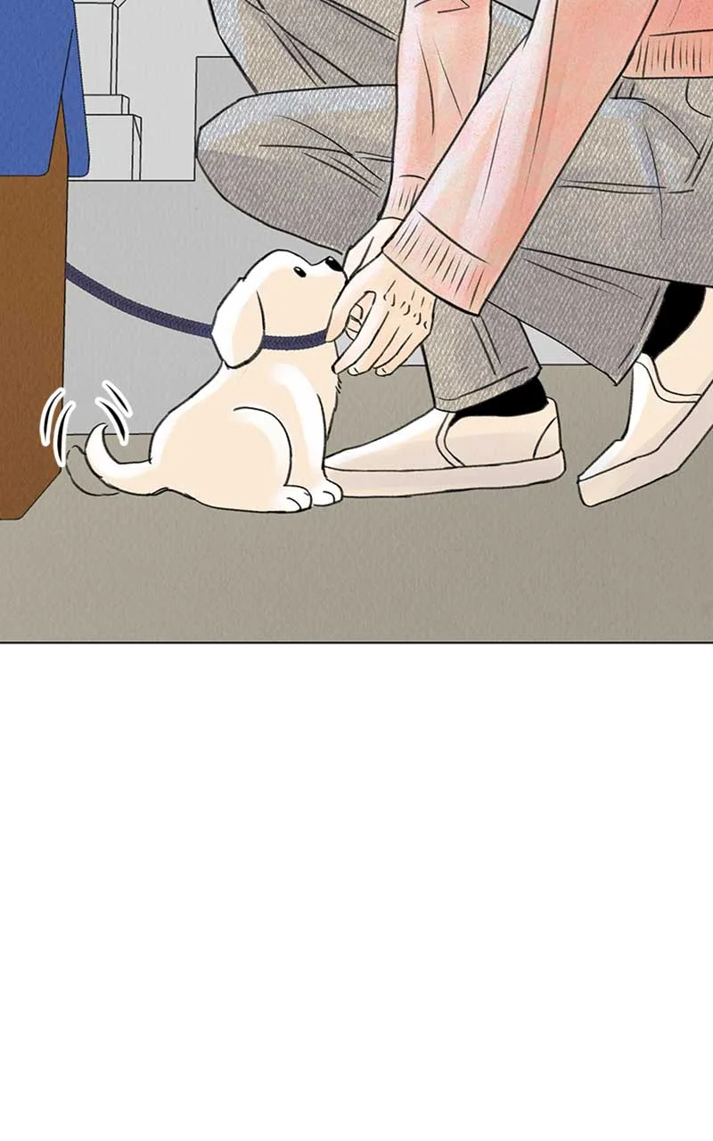 Want to See My Cat? Chapter 6 page 45