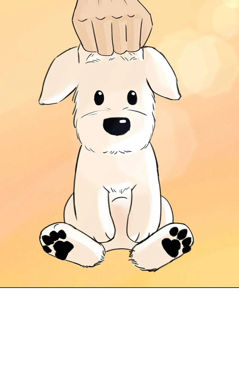 Want to See My Cat? Chapter 6 page 55