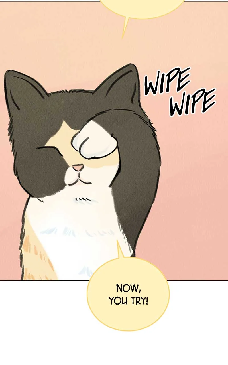 Want to See My Cat? Chapter 6 page 87
