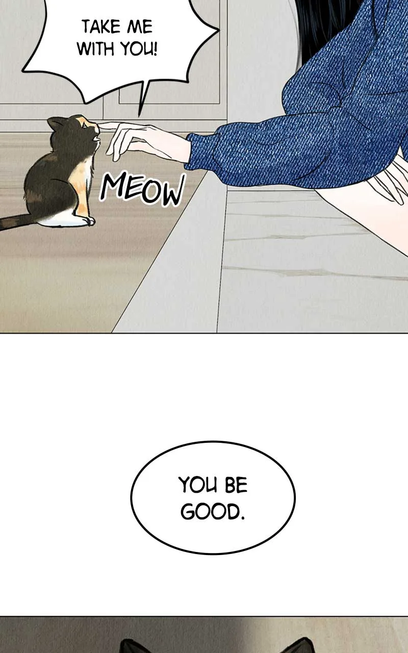 Want to See My Cat? Chapter 4 page 14