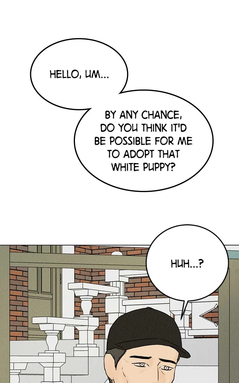 Want to See My Cat? Chapter 6 page 38