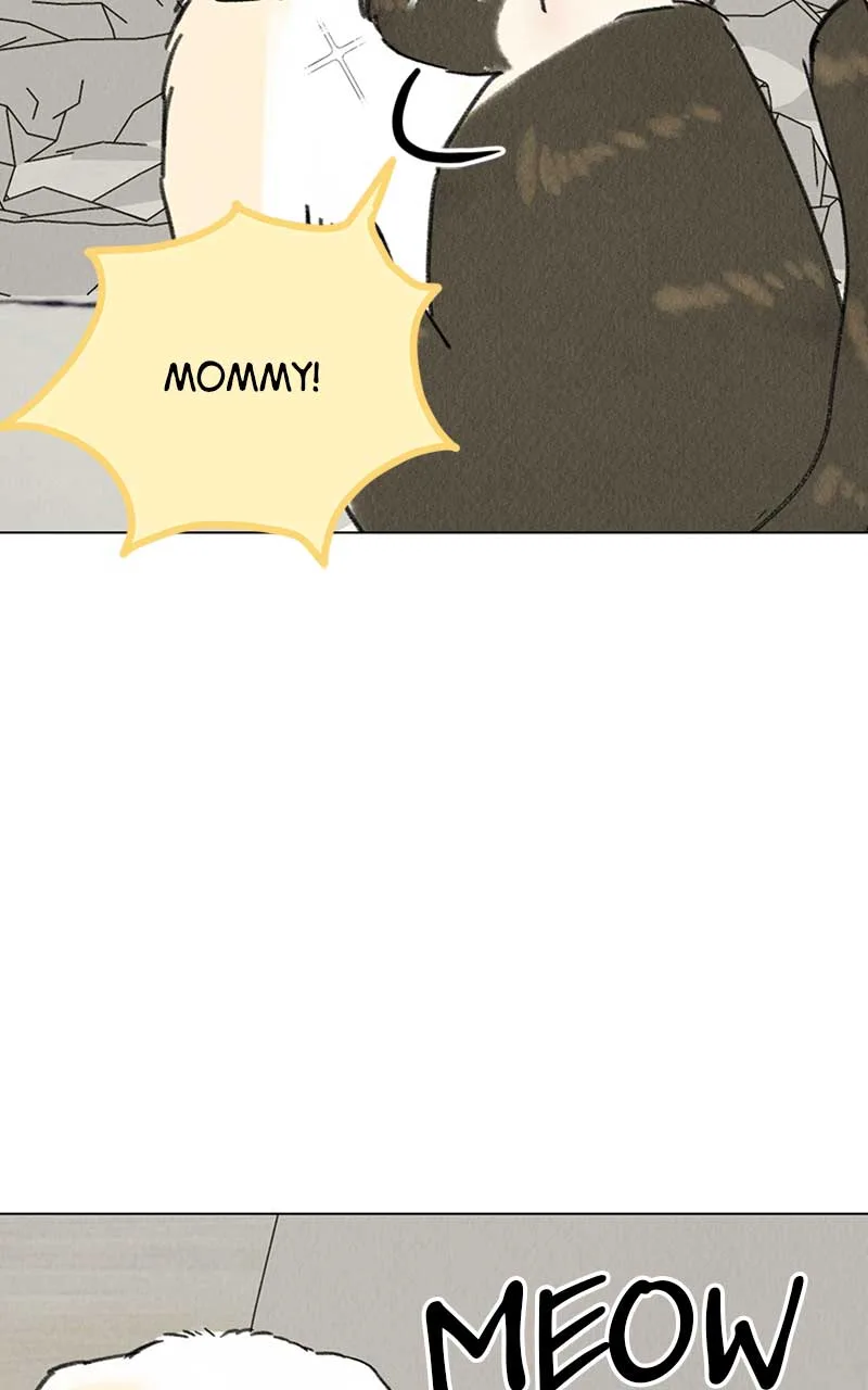 Want to See My Cat? Chapter 7 page 30