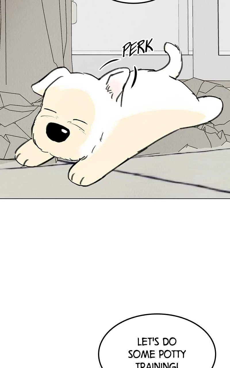 Want to See My Cat? Chapter 7 page 23