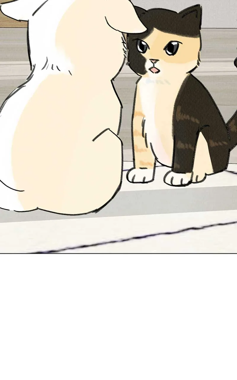 Want to See My Cat? Chapter 7 page 27