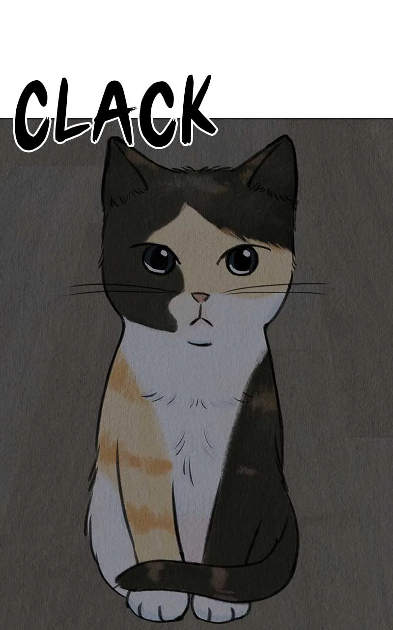 Want to See My Cat? Chapter 4 page 16