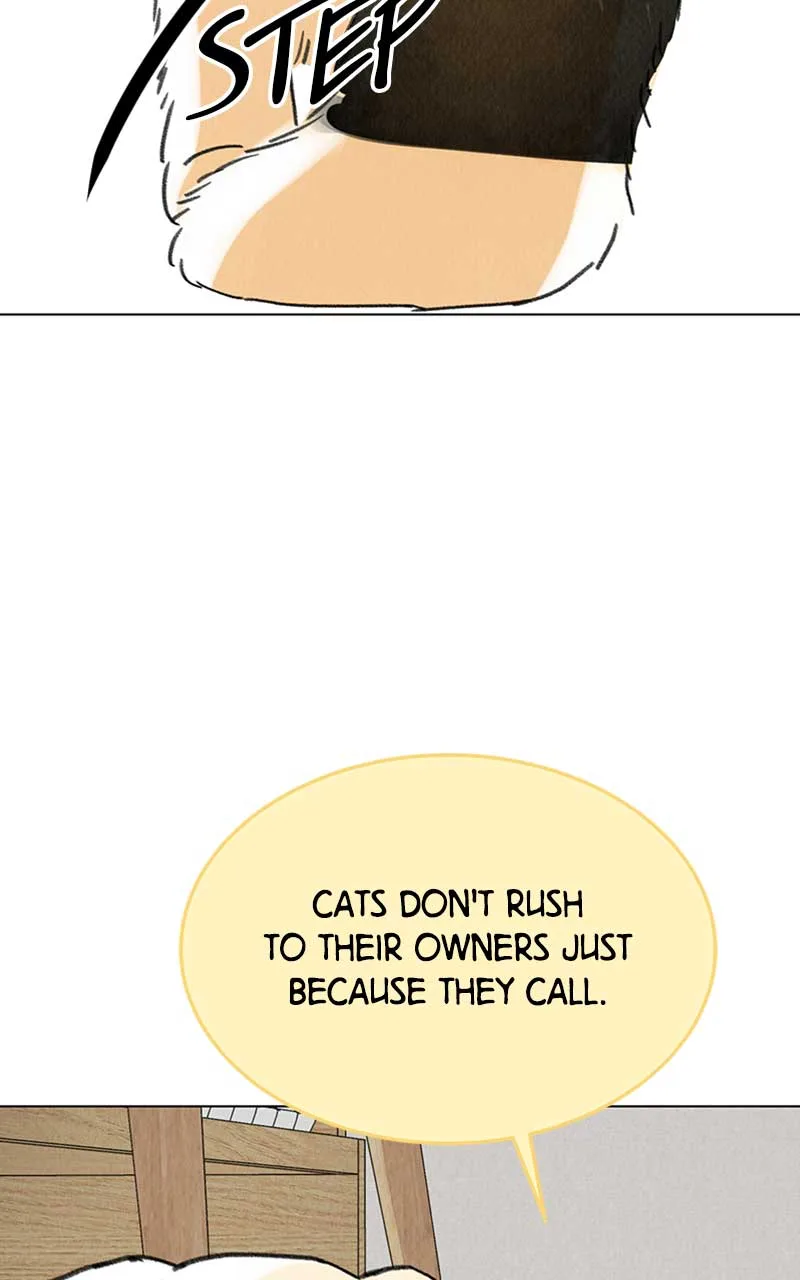 Want to See My Cat? Chapter 7 page 26