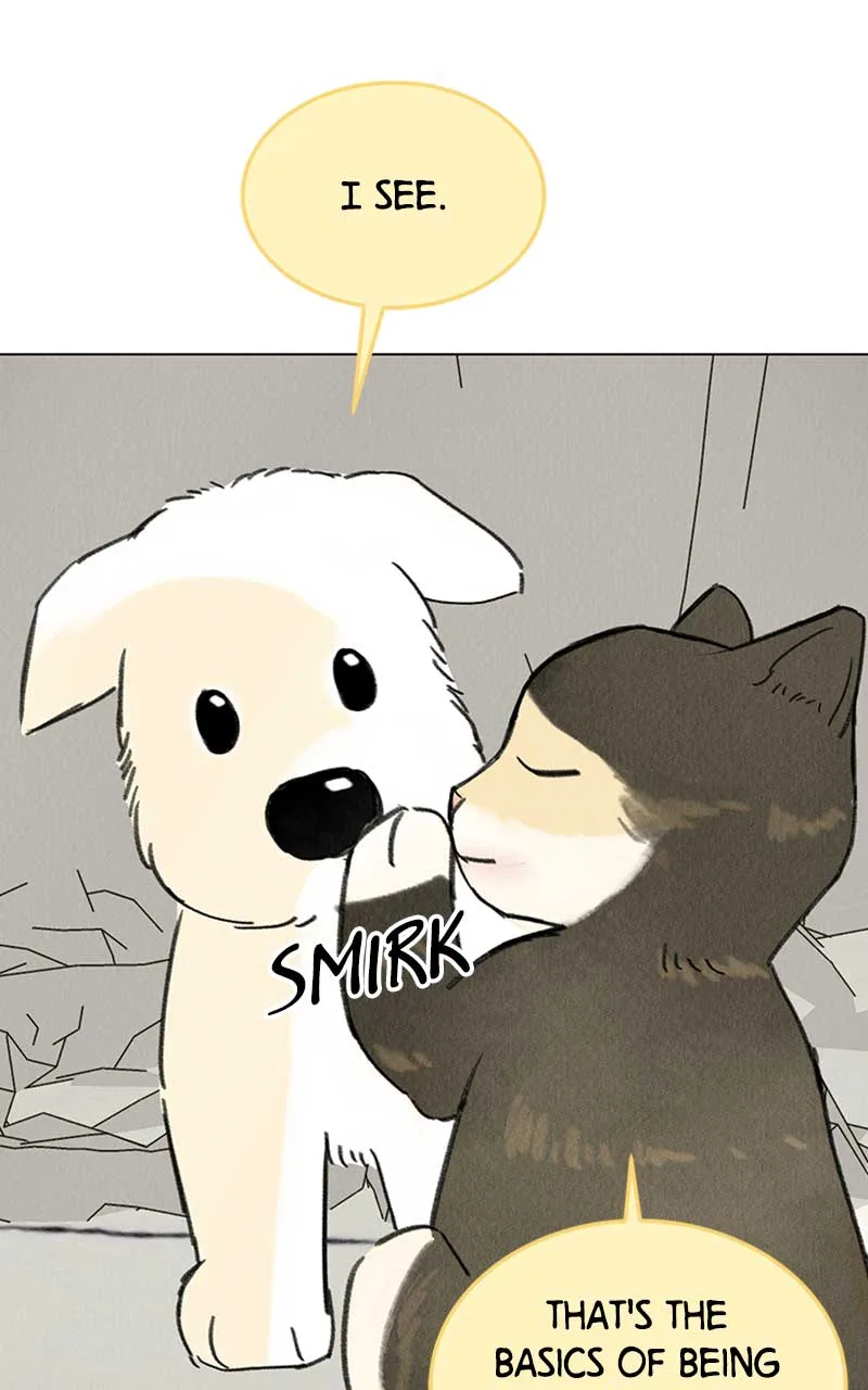 Want to See My Cat? Chapter 7 page 28