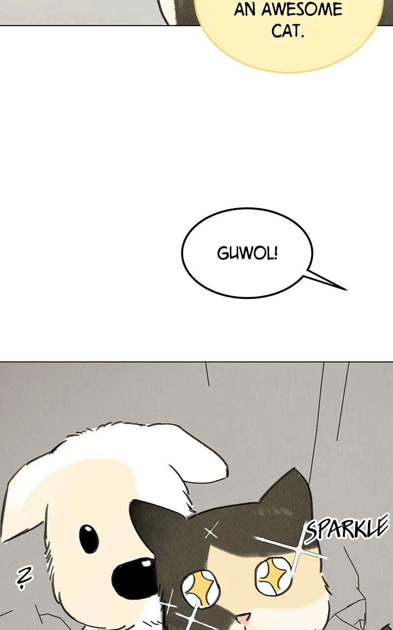 Want to See My Cat? Chapter 7 page 29