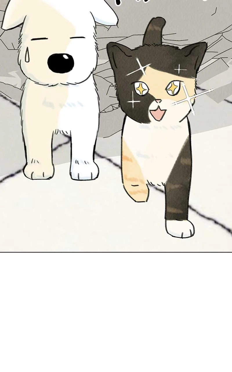 Want to See My Cat? Chapter 7 page 31