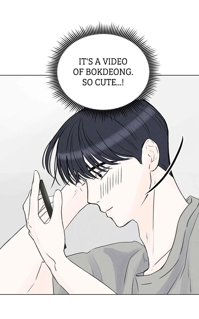 Want to See My Cat? Chapter 7 page 50