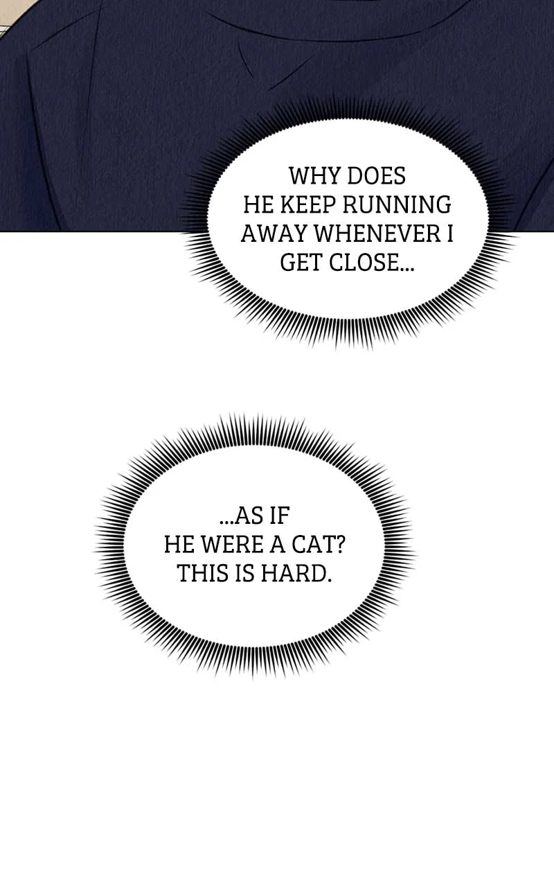 Want to See My Cat? Chapter 4 page 29