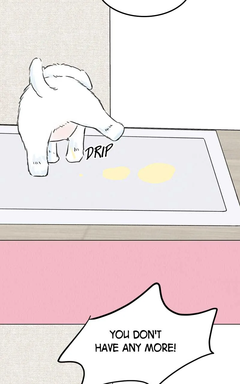Want to See My Cat? Chapter 7 page 42