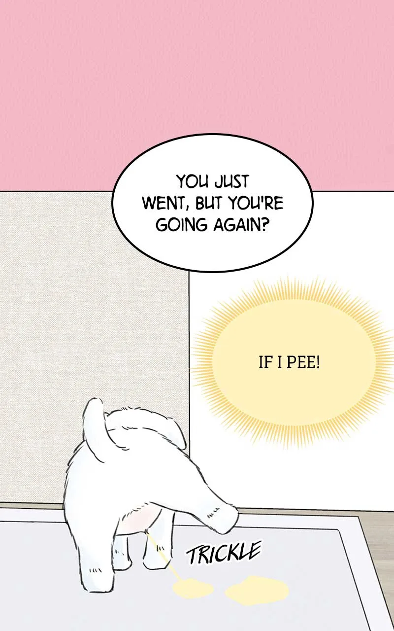 Want to See My Cat? Chapter 7 page 39