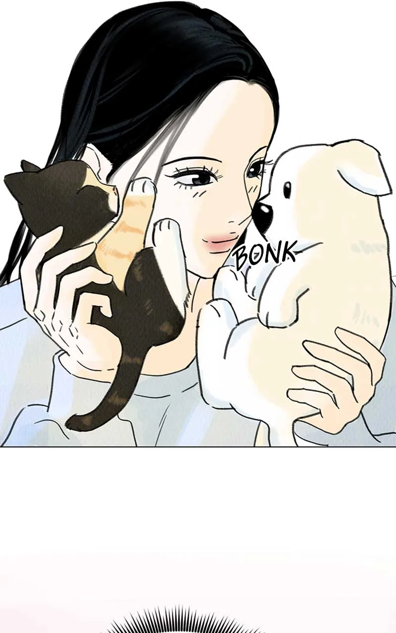 Want to See My Cat? Chapter 7 page 34