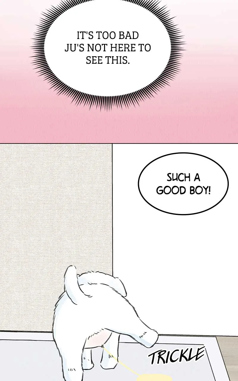 Want to See My Cat? Chapter 7 page 35