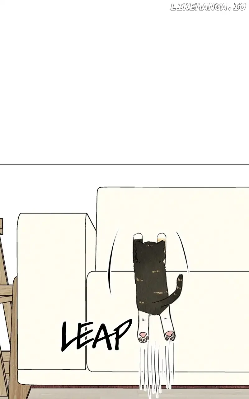 Want to See My Cat? Chapter 9 page 12