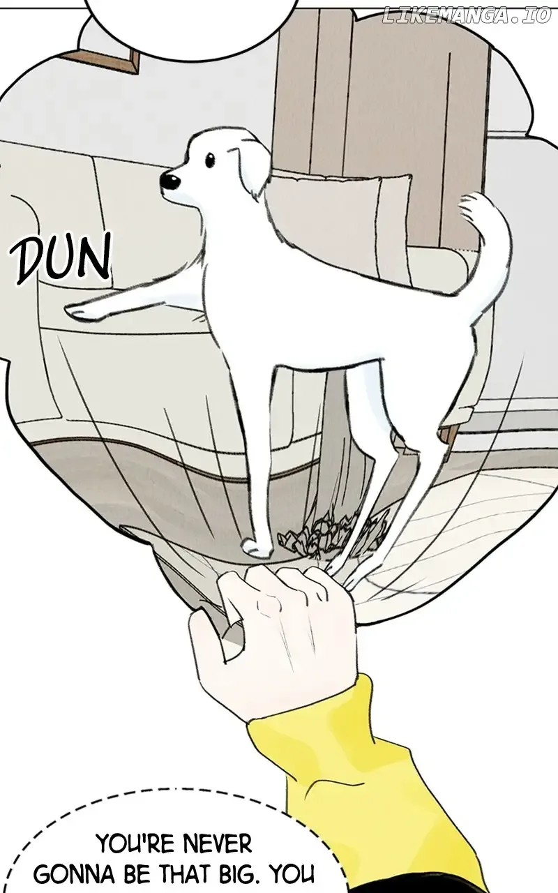 Want to See My Cat? Chapter 9 page 37