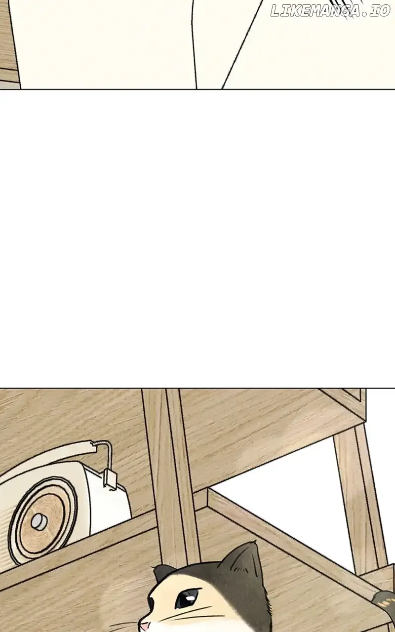 Want to See My Cat? Chapter 9 page 14