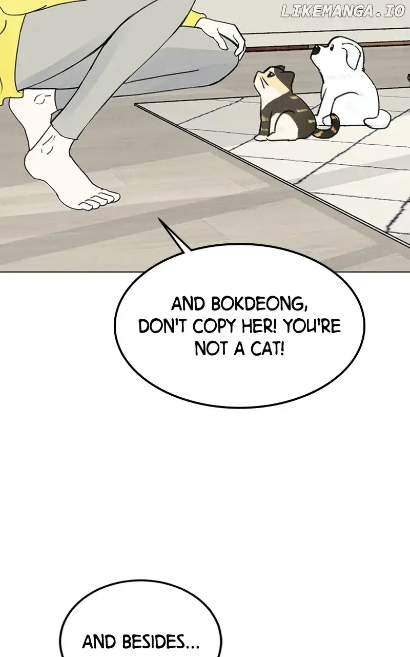 Want to See My Cat? Chapter 9 page 36